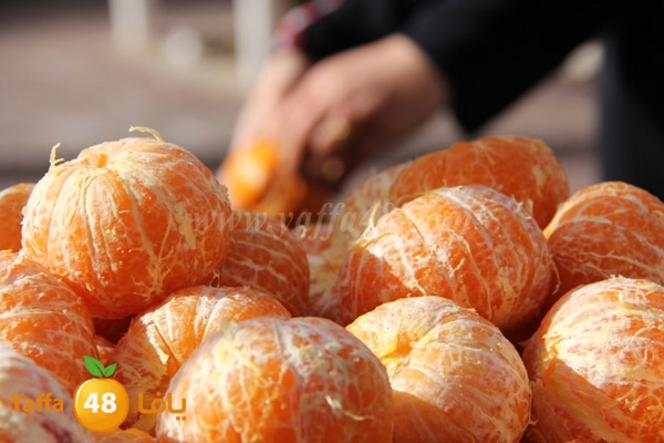 shamela sandouq (37).JPG